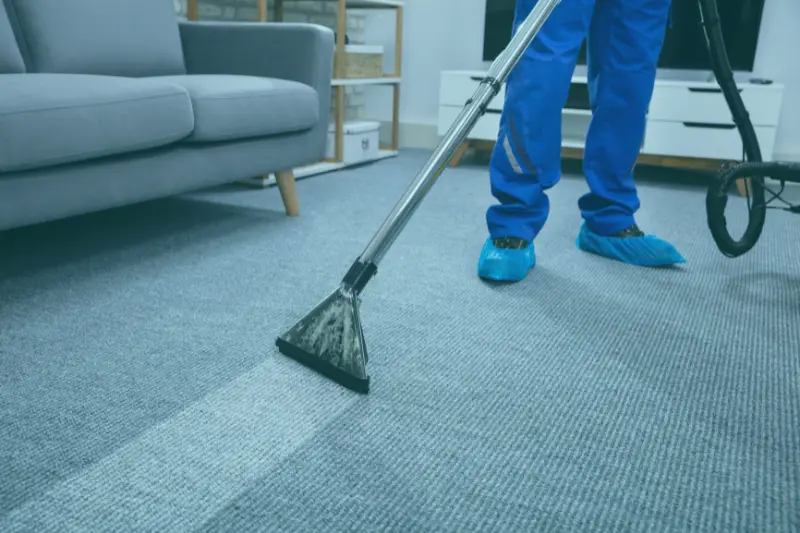 Carpet Steam Cleaning